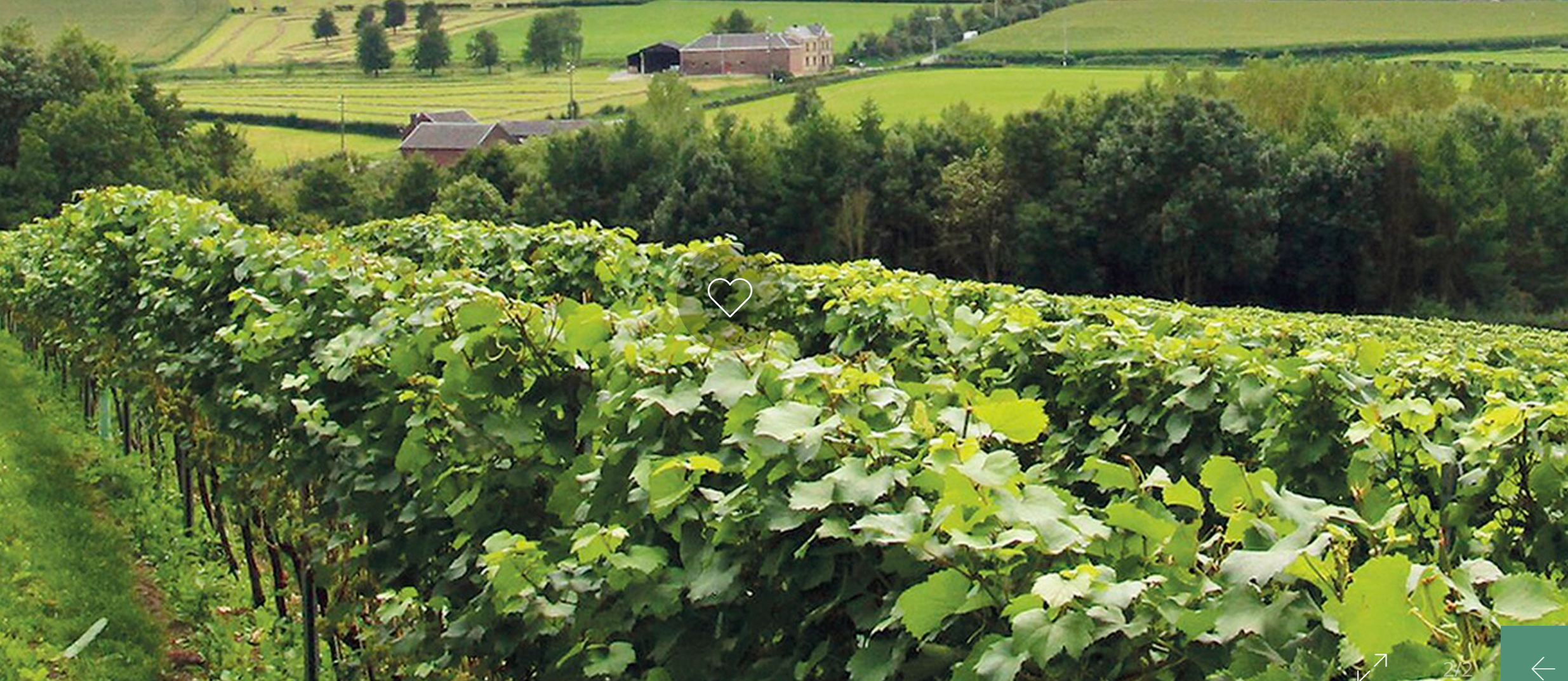 Bodega Sastre