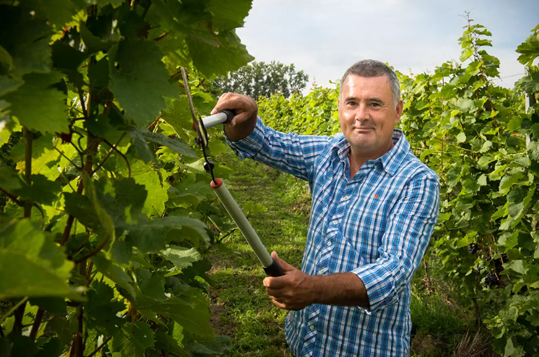 Tenuta Montalcino